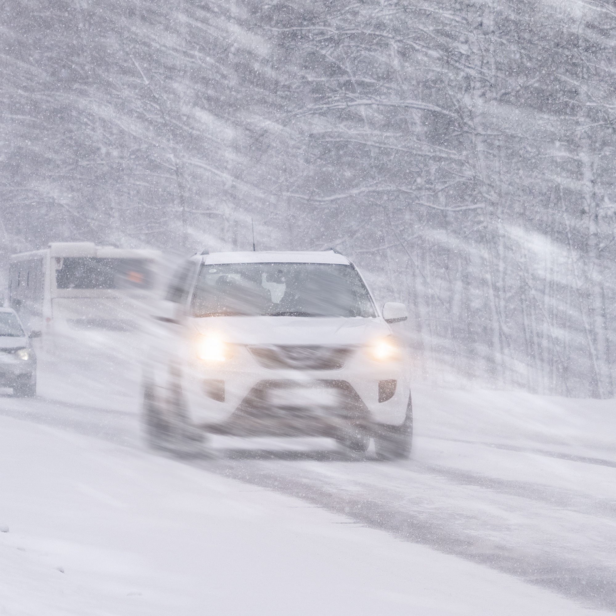 A Windy Day and Blast of Winter