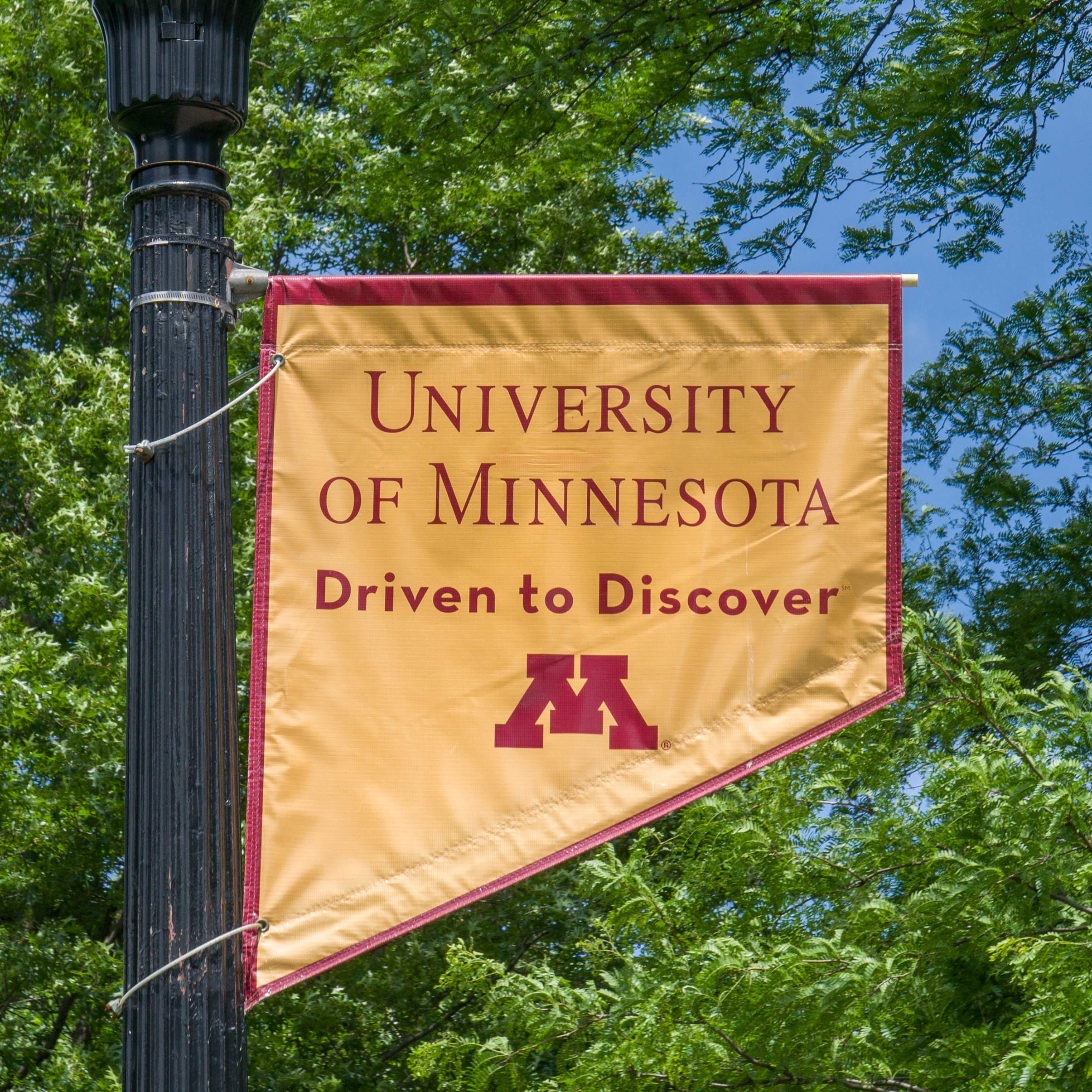 Gophers Fire Head Coach Brad Frost