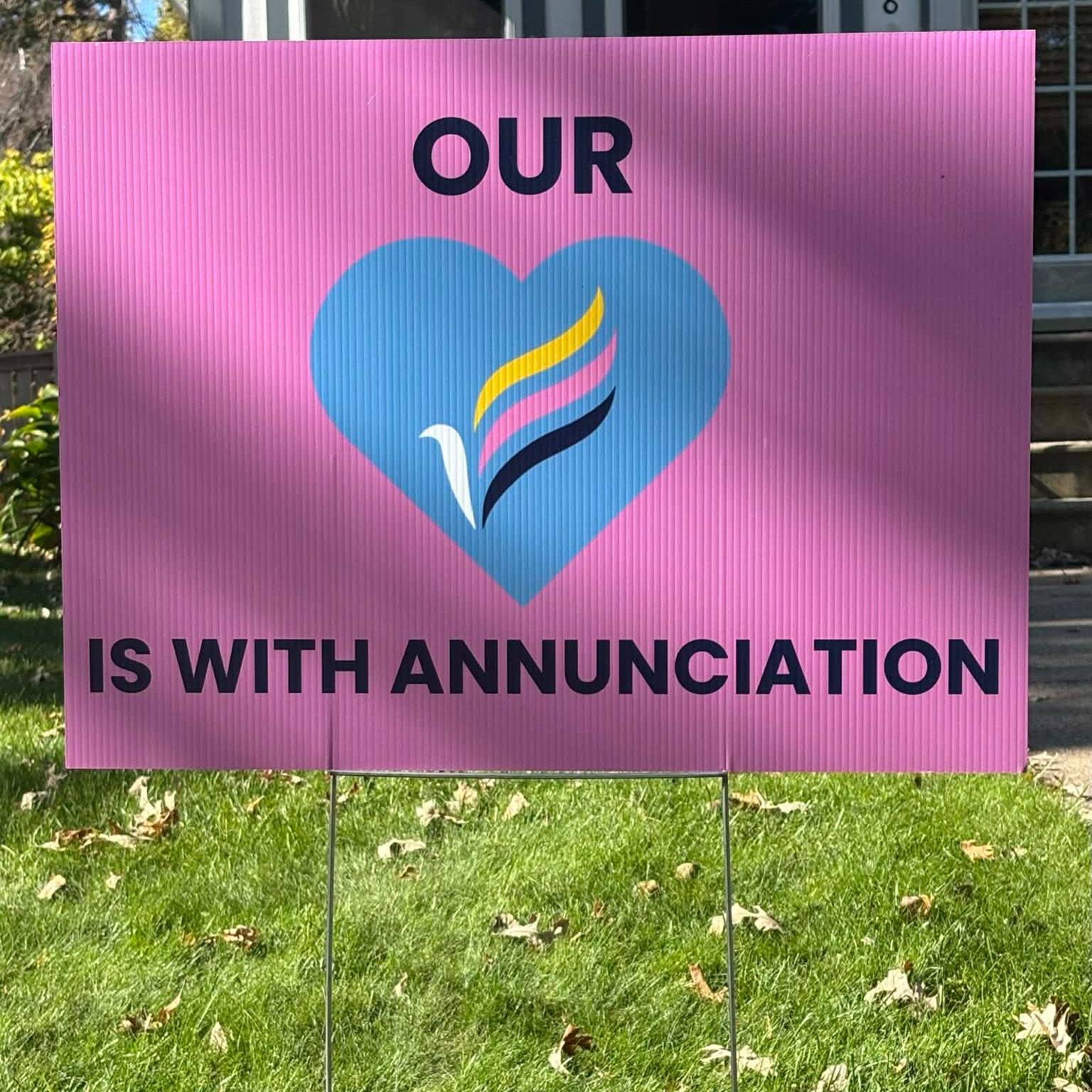 Is gun legislation a no go this year at the legislature?