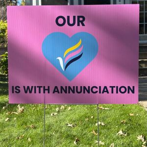 Is gun legislation a no go this year at the legislature?