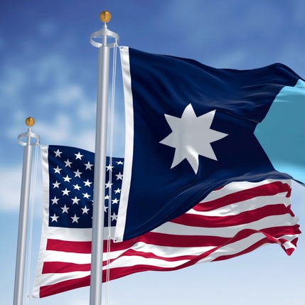 Did the Updated State Flag get "Shoved Down People's Throats" or not?