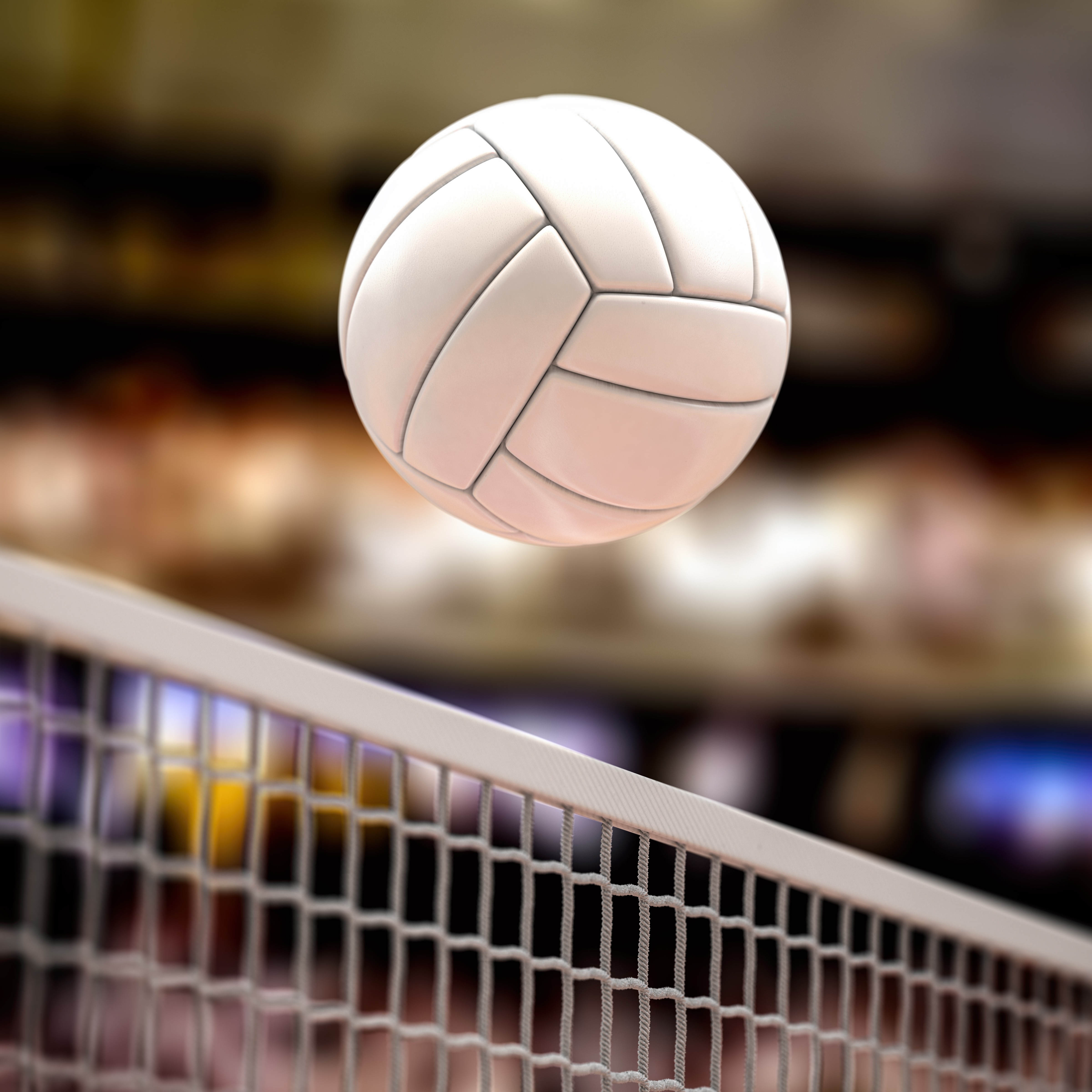 Professional Volleyball Comes to Minnesota