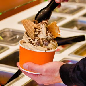 What is better for your body this summer, eating Ice cream or Frozen Yogurt?