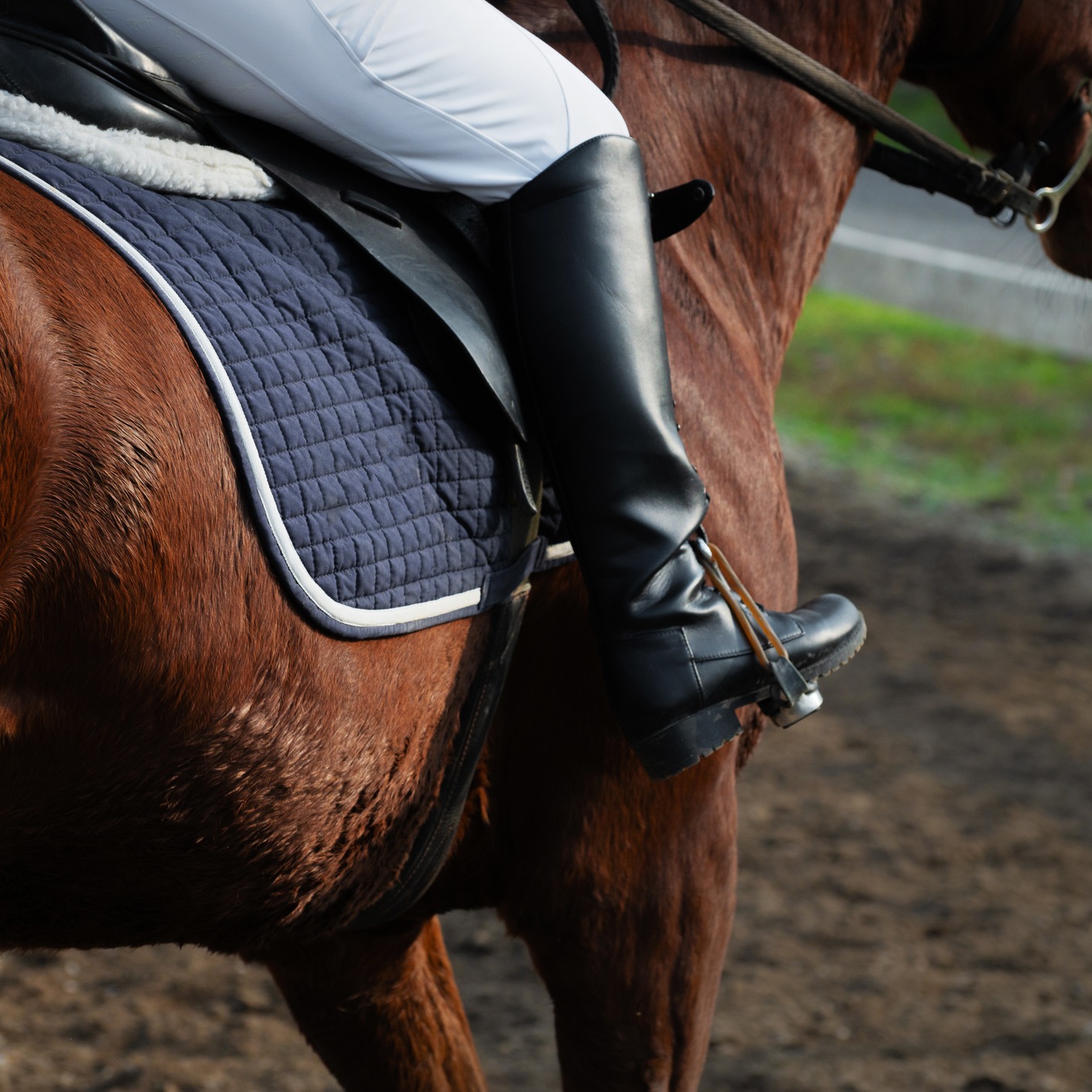 Kevin Gorg on Fourth Fun at Canterbury and a Wild Week!