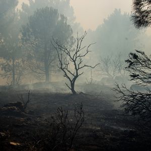 Karen Harrison, Minnesota DNR with the latest on northern MN fires!