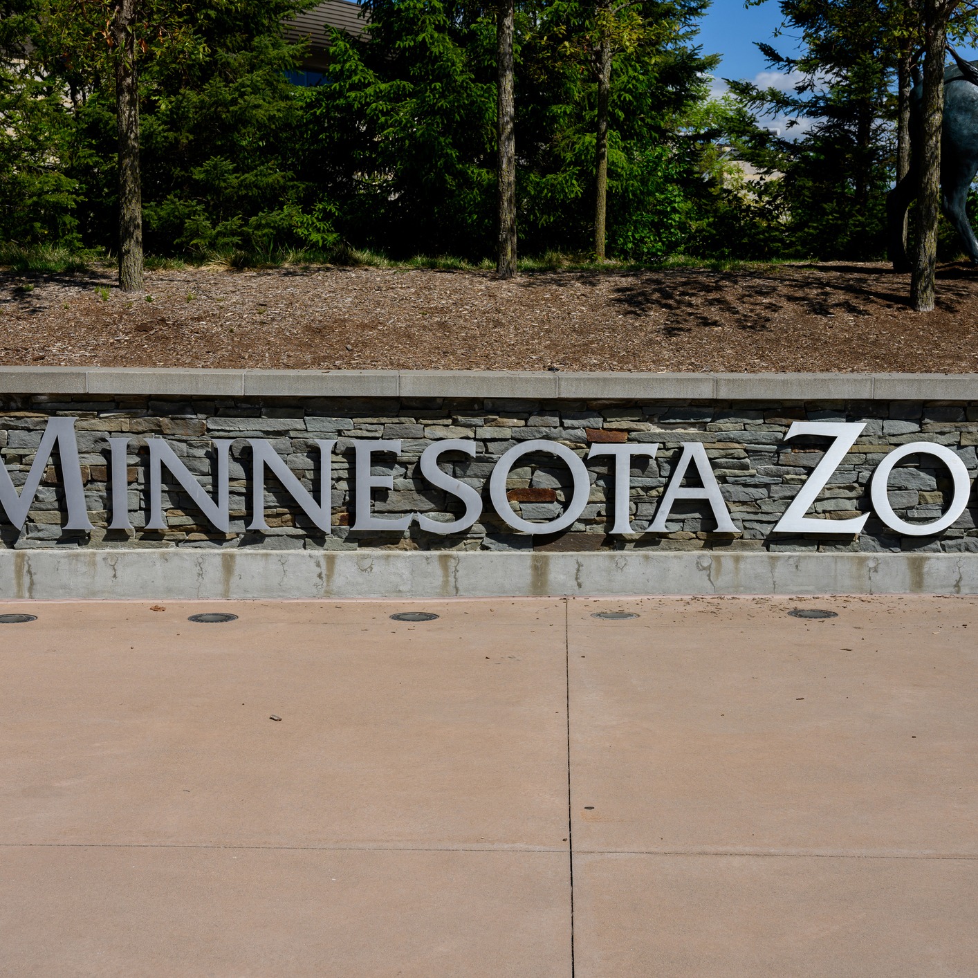 Diana Hein previews the Wanderlight Trail at the Minnesota Zoo!
