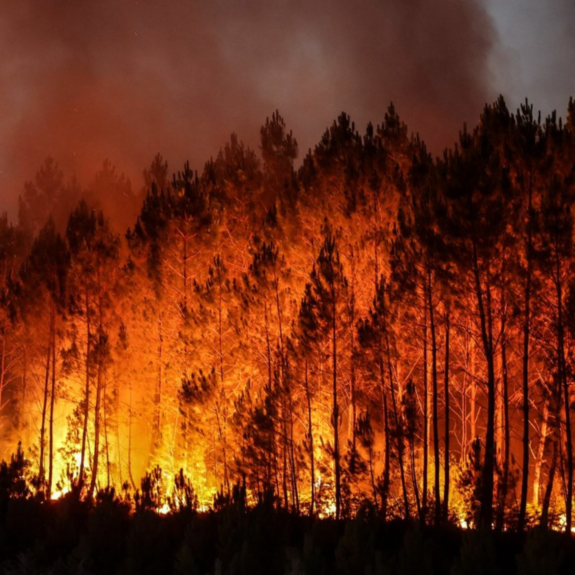 Kelsey Christensen checking in from Ely amid fires and now rain!