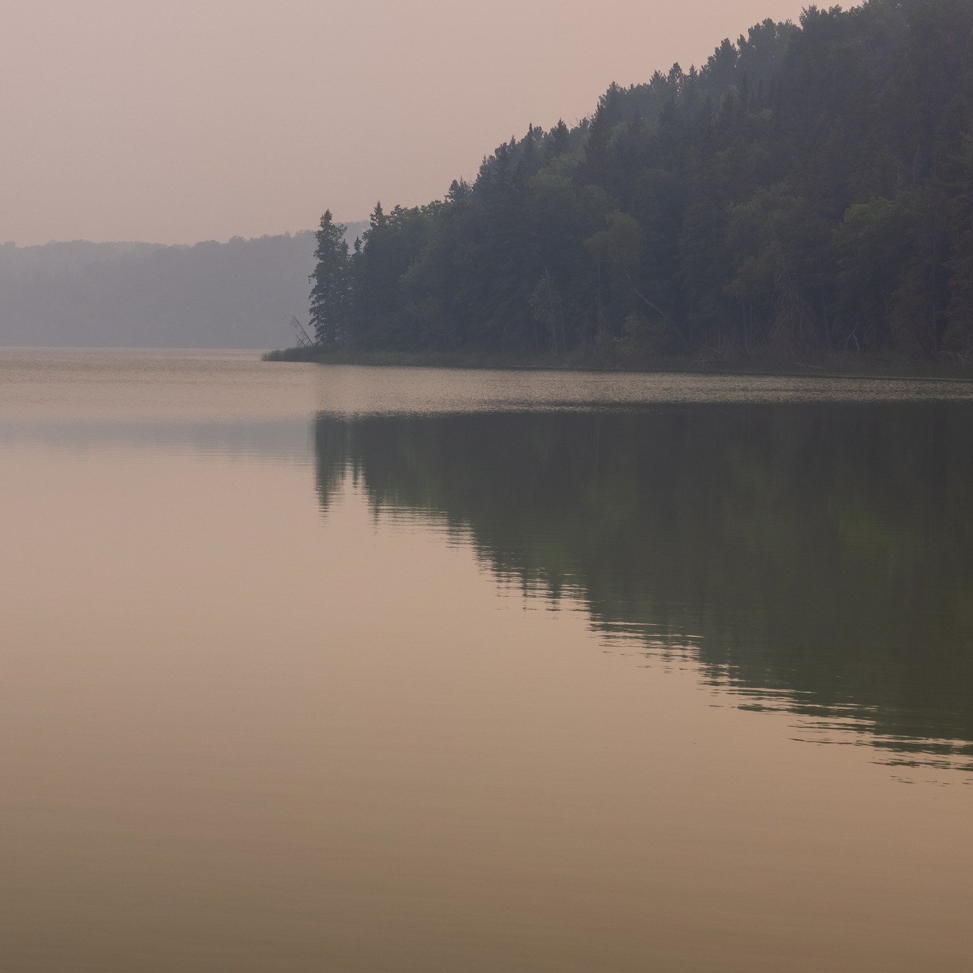 Would you take a "DAY TRIP" to the BWCA?