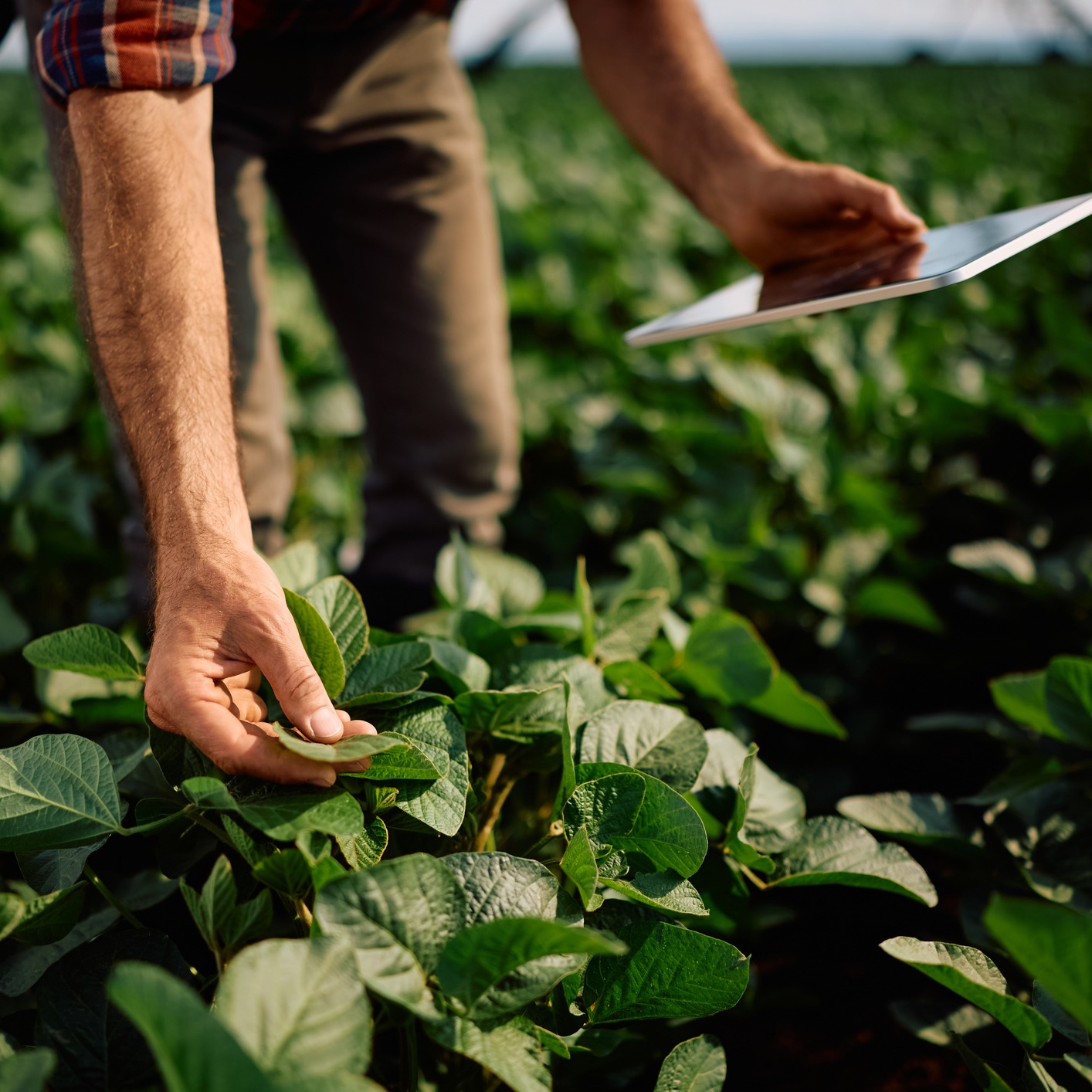 Are farmers using AI right now?