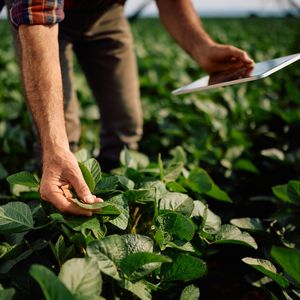 Are farmers using AI right now?