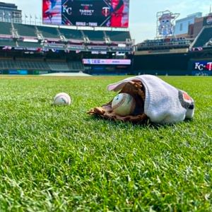 Twins 1st pitch:   What will the Twins do in the next 7 hours?