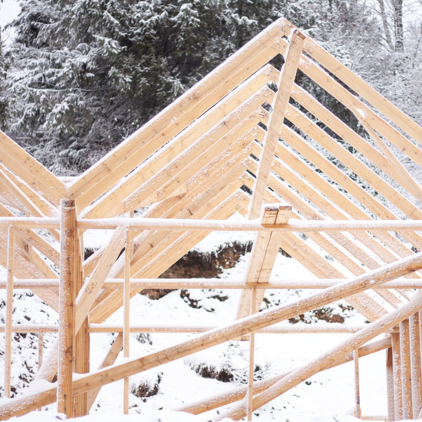 Protecting your roof, keeping your home covered literally and figuratively!