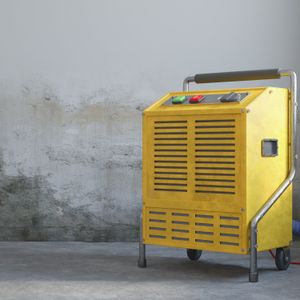 Keeping Water out of Your Basement, The Benefits of a Dehumidifier, Checking for Winter Damage