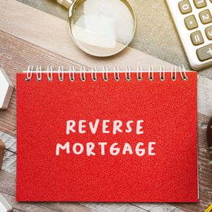 Explaining Auxiliary Dwelling Units, Considering Reverse Mortgages, Using the "Coming Soon" Feature