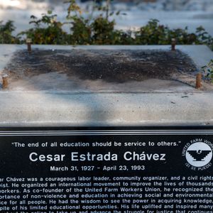 Are we overreacting, it's never too late to do the right thing, and Fancy Ray