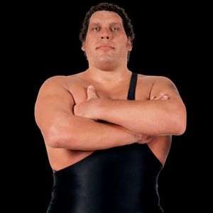 Who were Randy Meier's favorite wrestlers growing up?