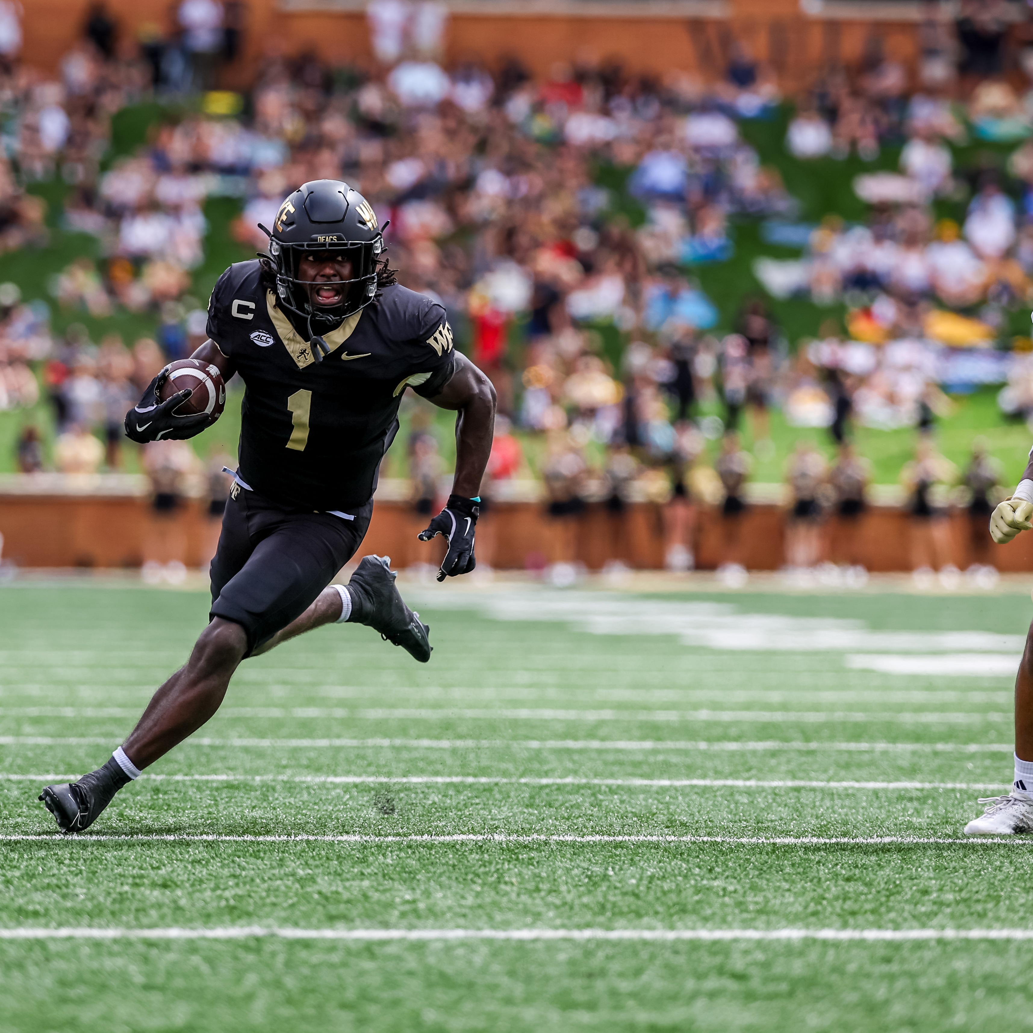 Matthew Coller, Randy Meier, Bite of the Night and Headlines