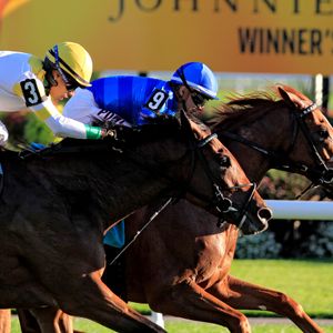 Is the Triple Crown in horse racing being diminished?