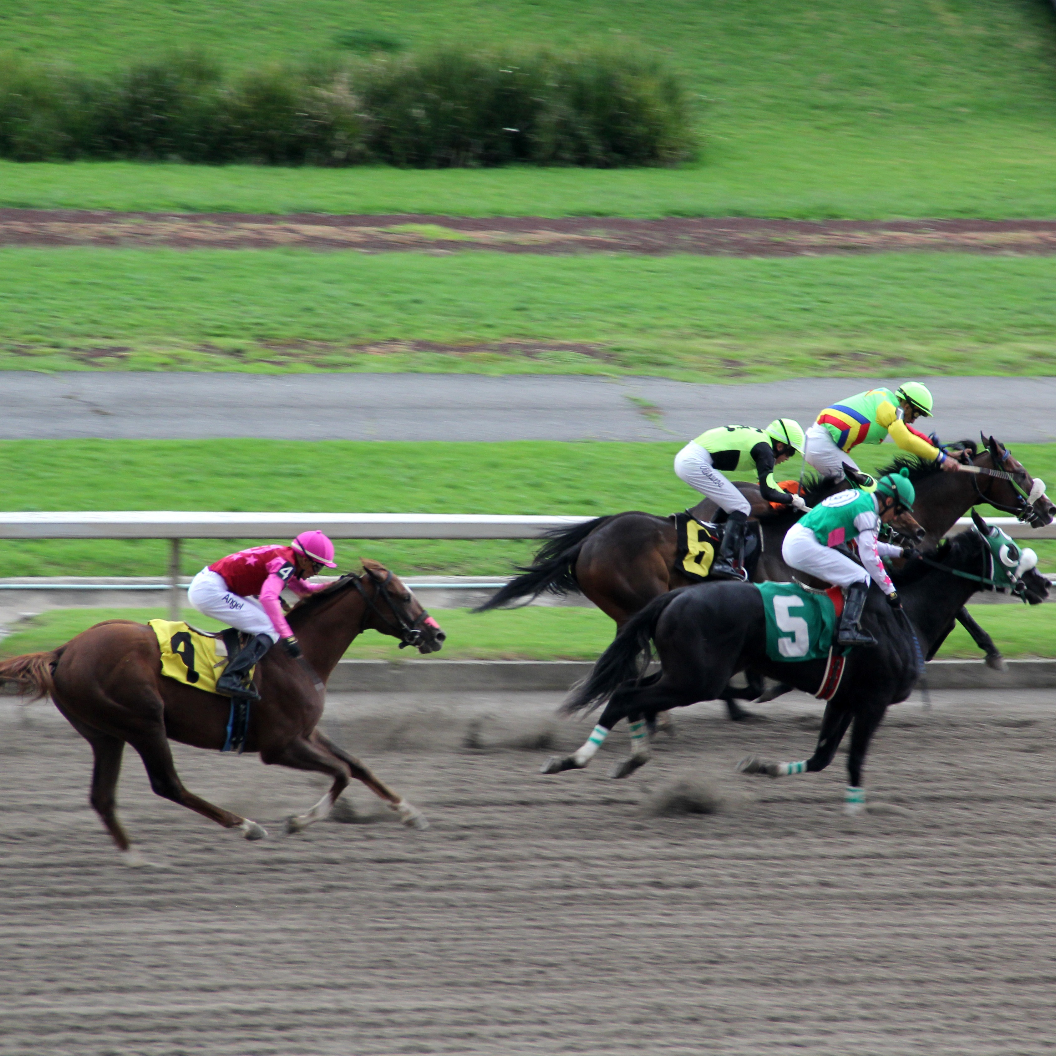 Why is there a lack of buzz around The Preakness this year?