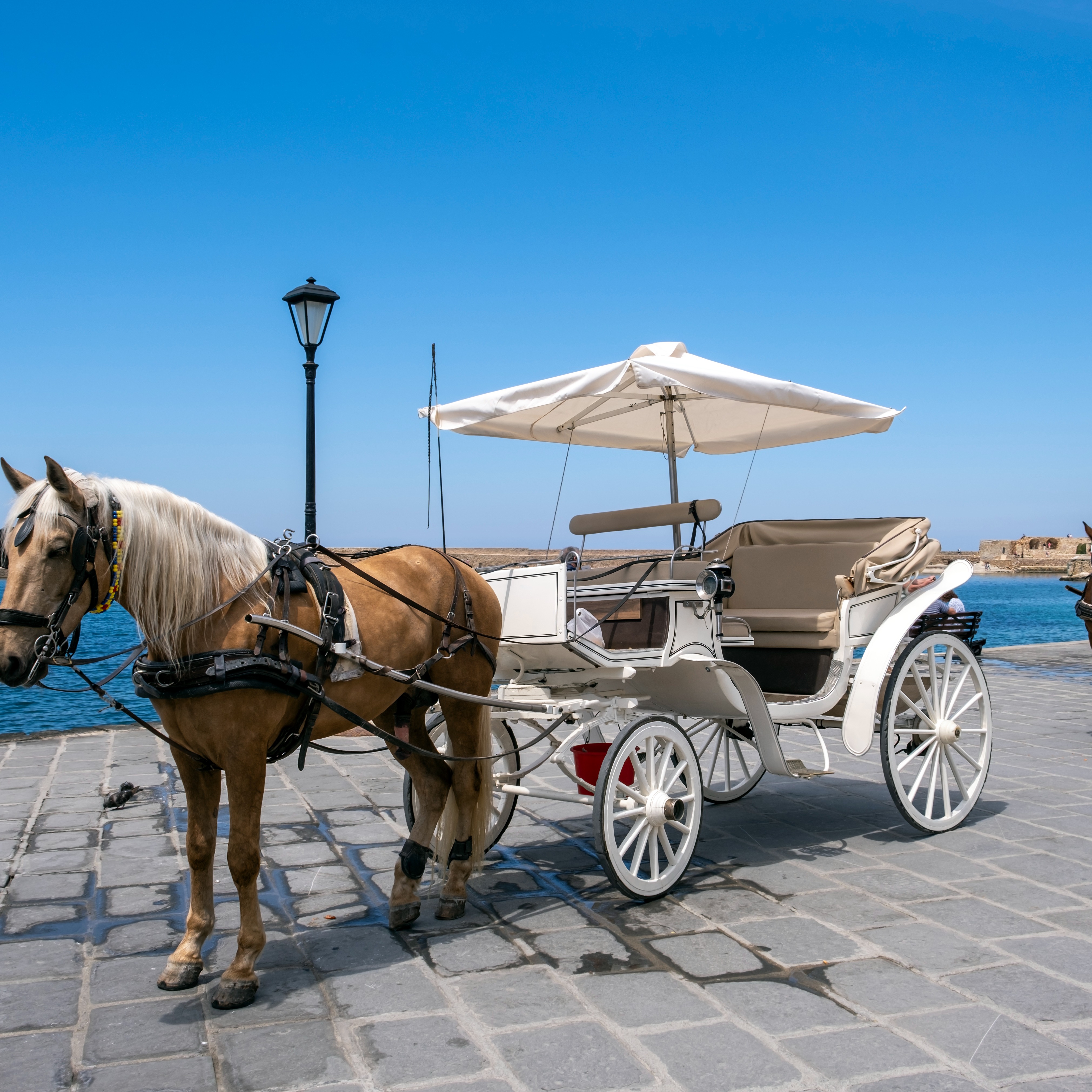 No more horse carriage rides, and Miles vs. Aja gets people mad