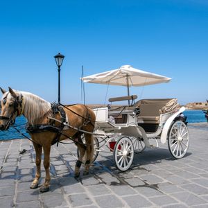 No more horse carriage rides, and Miles vs. Aja gets people mad