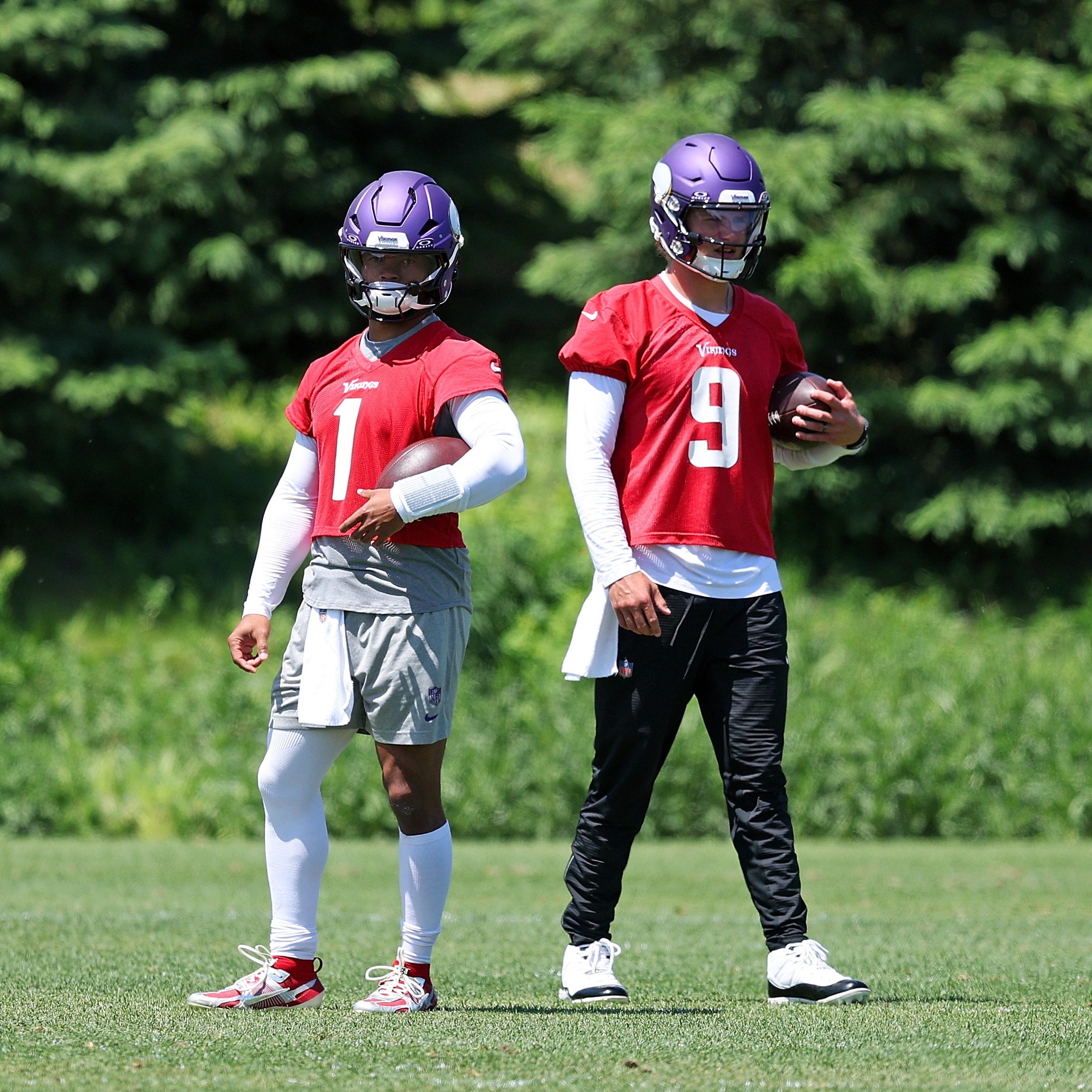 What does a Vikings "Quarterback Competition" look like?