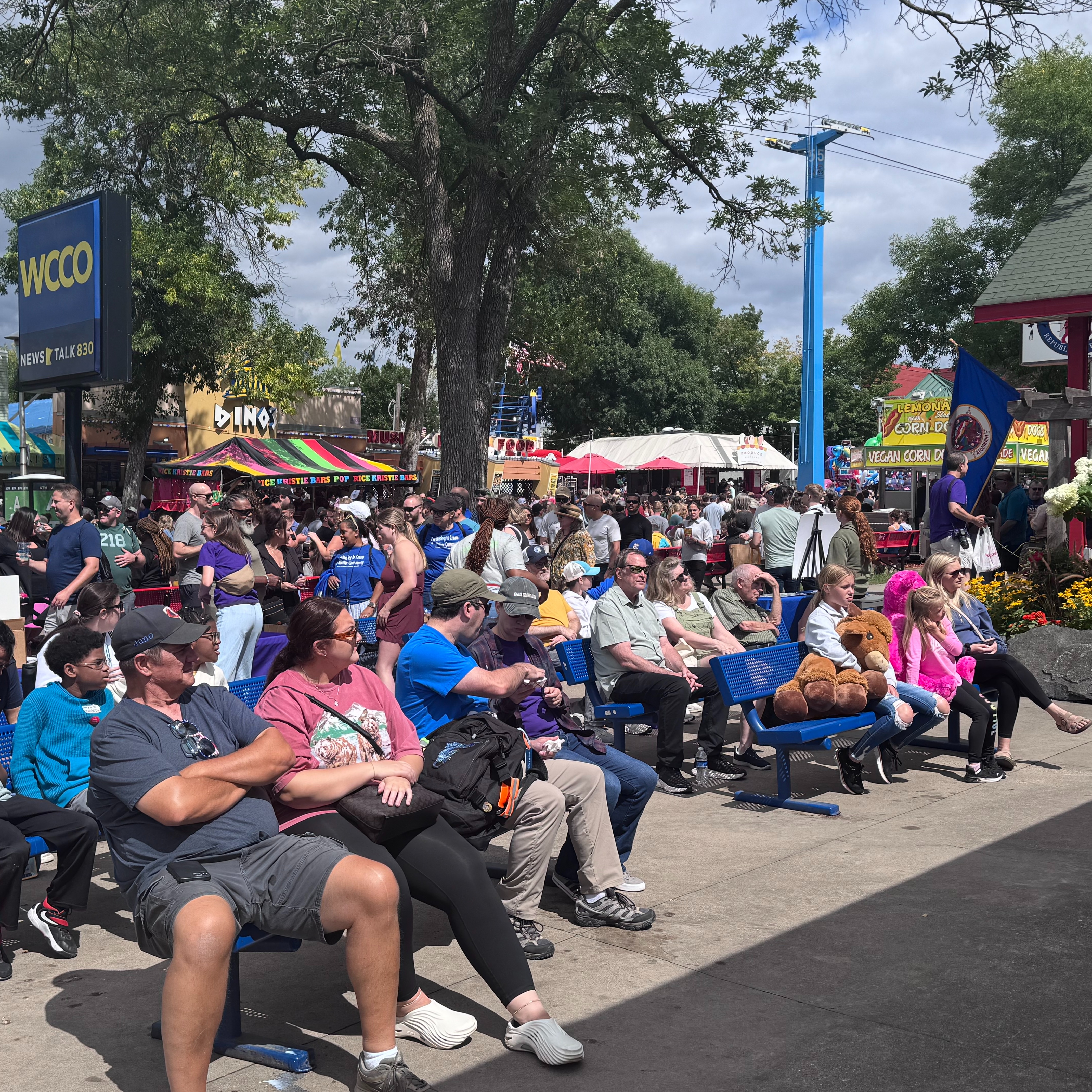 New Fair Foods and A Golden Voice for Twins History