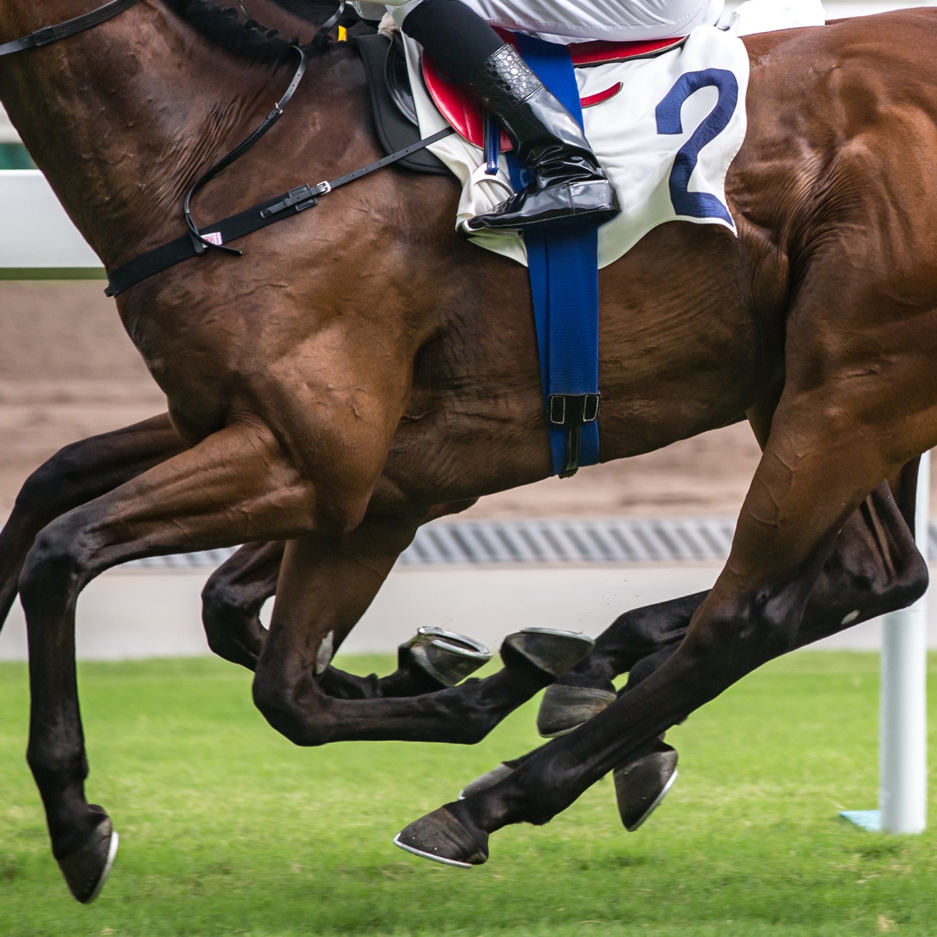 Should we be concerned about the future of horse racing in Minnesota?