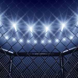 How did former U of M All-American wrestler Michael Blockhus get interested in MMA fighting?