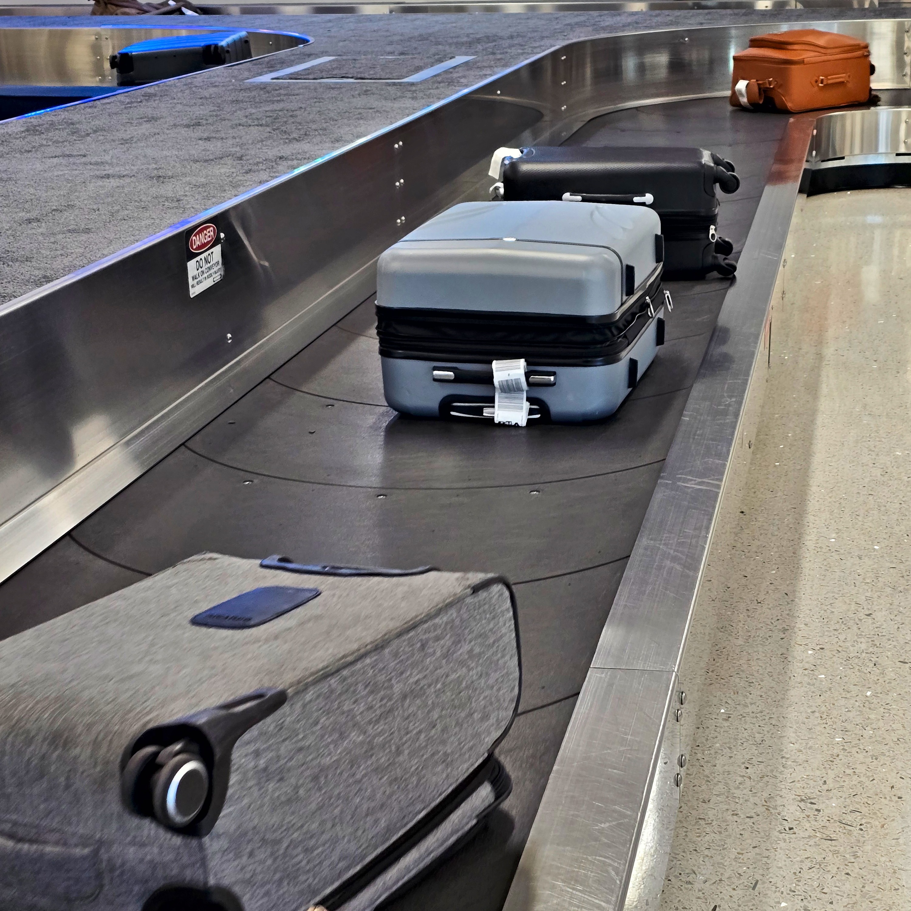 Missing baggage protocol, Matthew Coller, Bite of the Night and Headlines