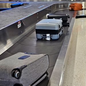 Missing baggage protocol, Matthew Coller, Bite of the Night and Headlines