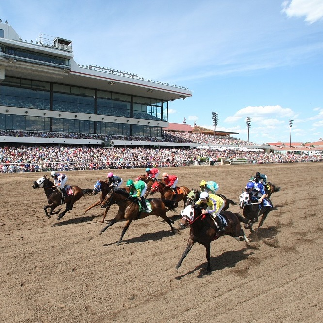 What's going on at Canterbury Park in the racing offseason?