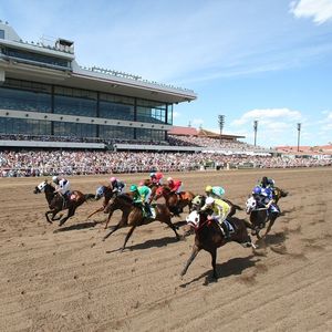 What's going on at Canterbury Park in the racing offseason?