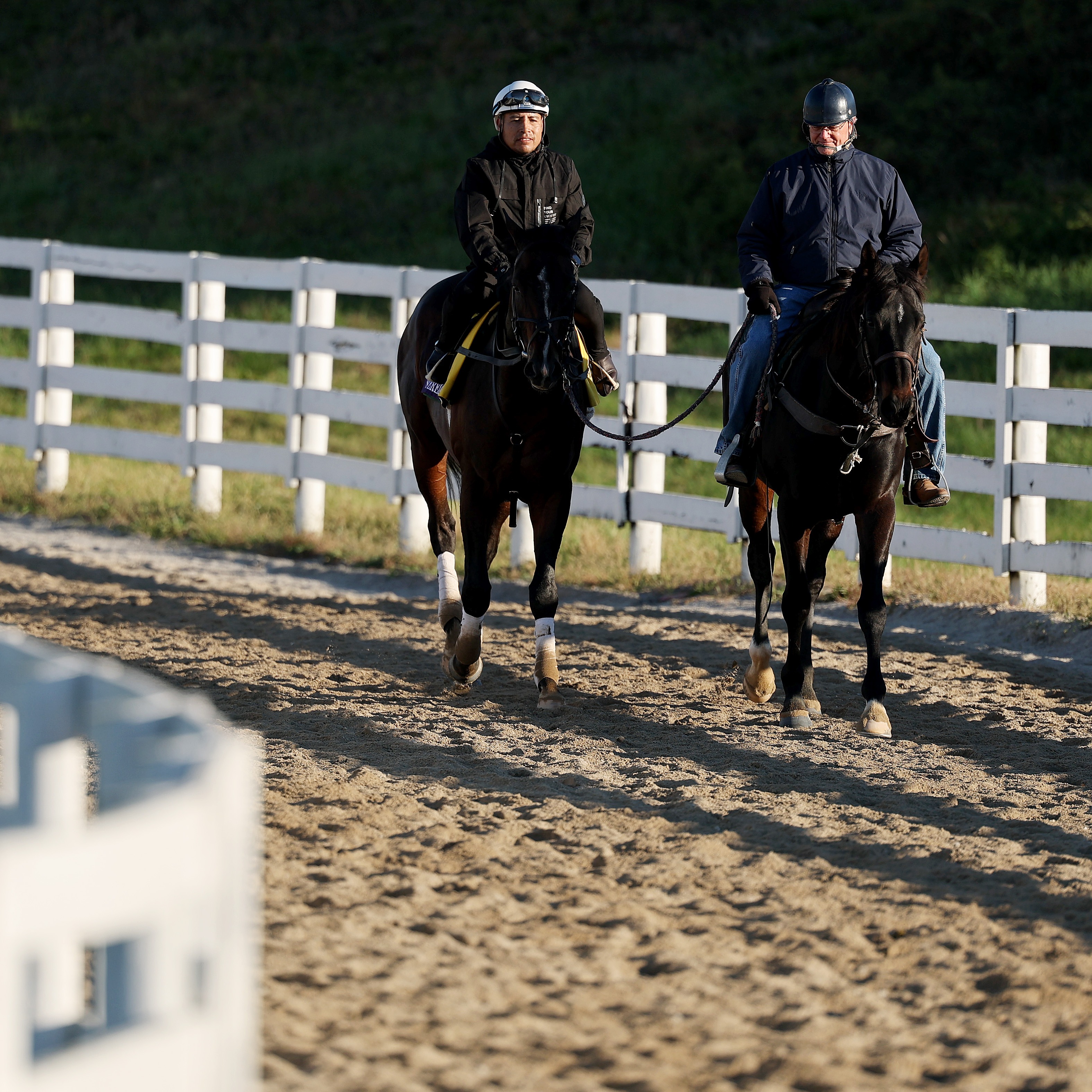 Who does Angela Hermann like in this weekend's Breeders Cup?