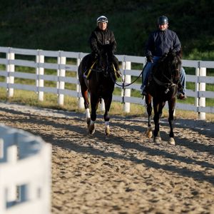 Who does Angela Hermann like in this weekend's Breeders Cup?