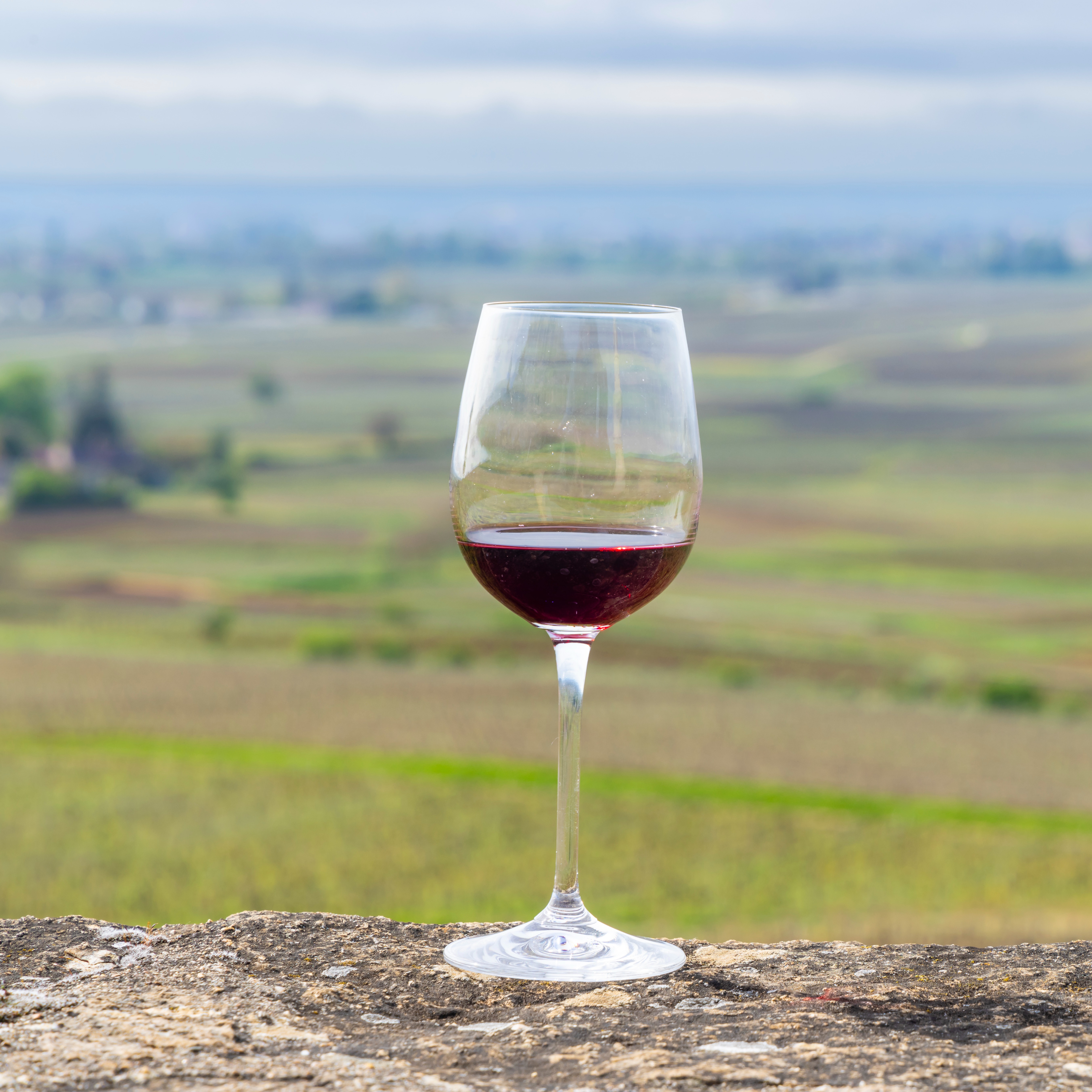 Celebrating the Wine Saint and French Wine