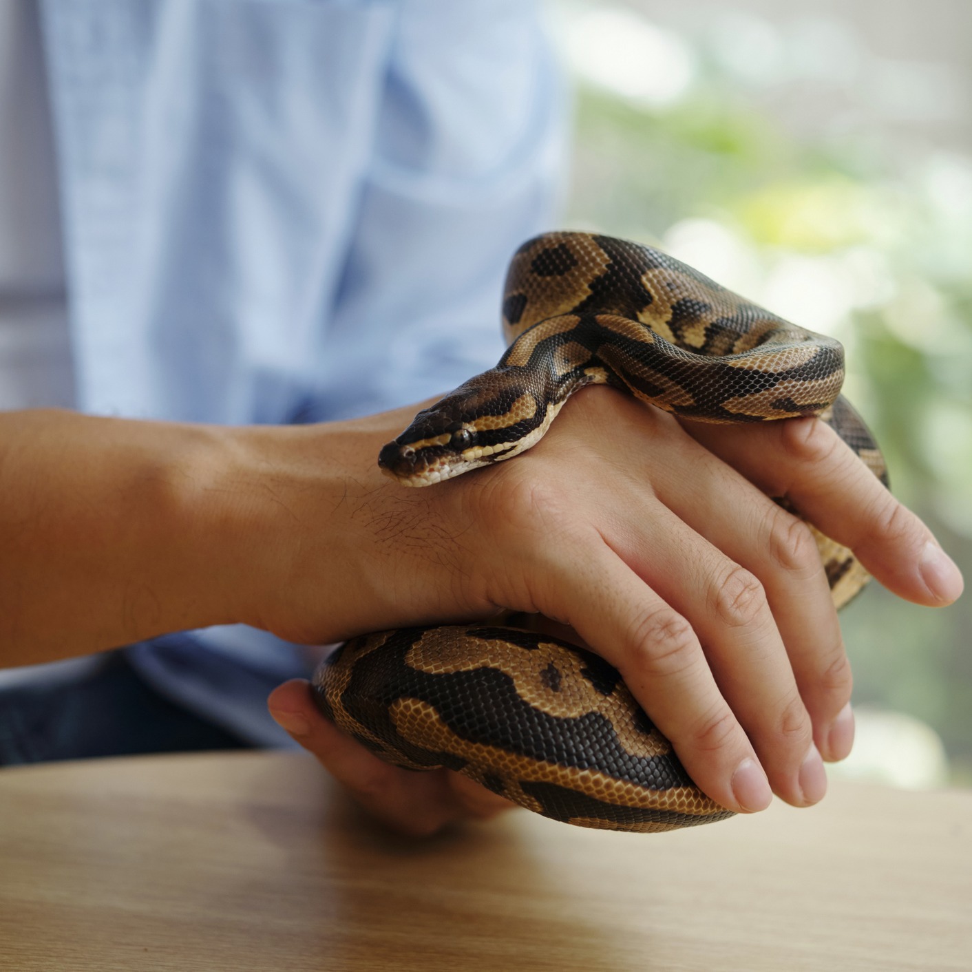 Thursday Hour 3: The DeRush-Hour Headlines & weird pets