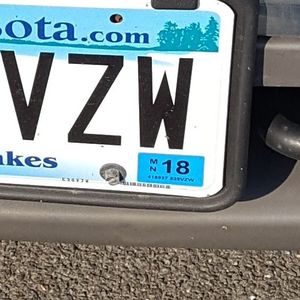 Why are we so mad about our license tab costs?