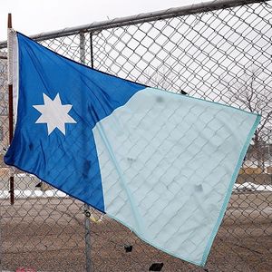 Do we need to do a do-over on the state flag?