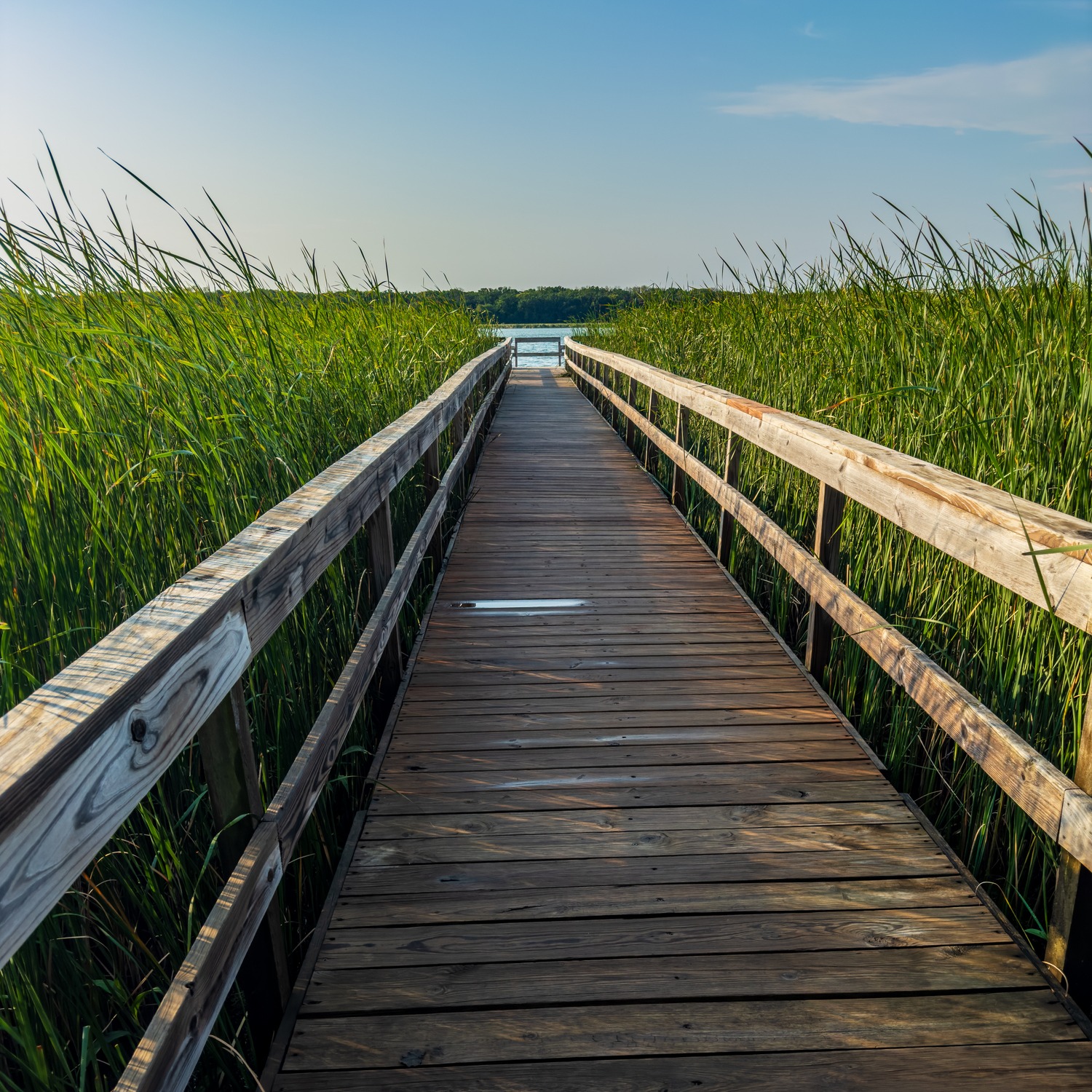 DeRush-Hour Headlines & what are you up to this weekend?