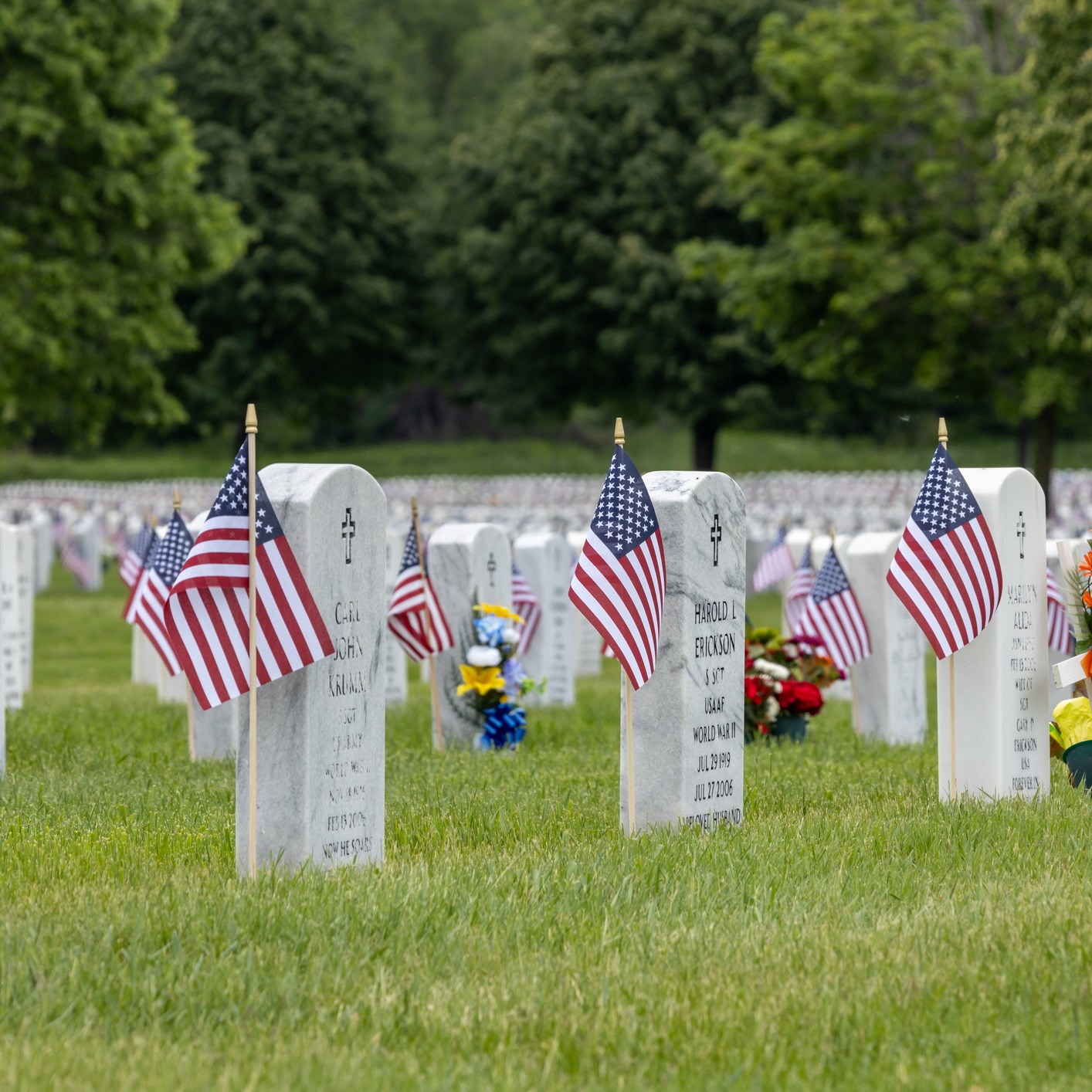 Saluting Those That Have Served on Memorial Day!