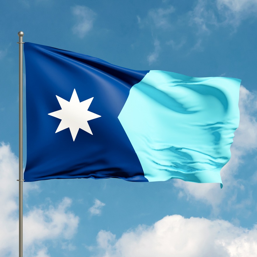 Do you want to vote on more issues like the state flag?