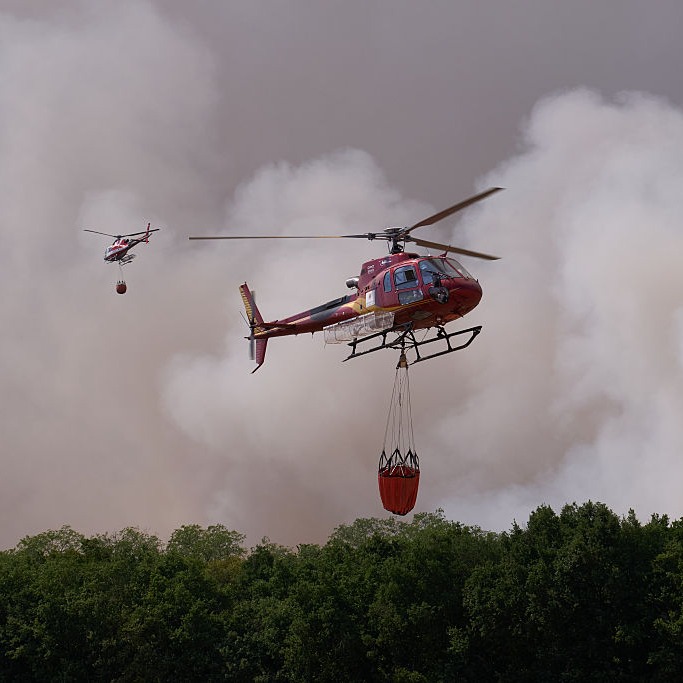 How can people help businesses in Northern Minnesota affected by wildfires?