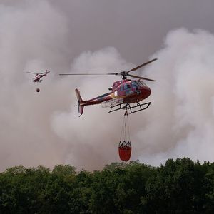 How can people help businesses in Northern Minnesota affected by wildfires?