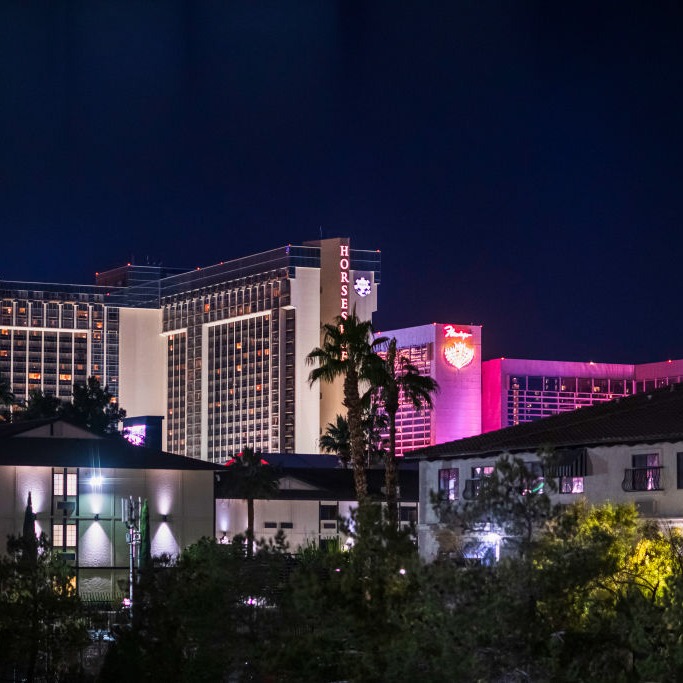 Tourney Time, Flamingos in Vegas and more with Quick Takes!