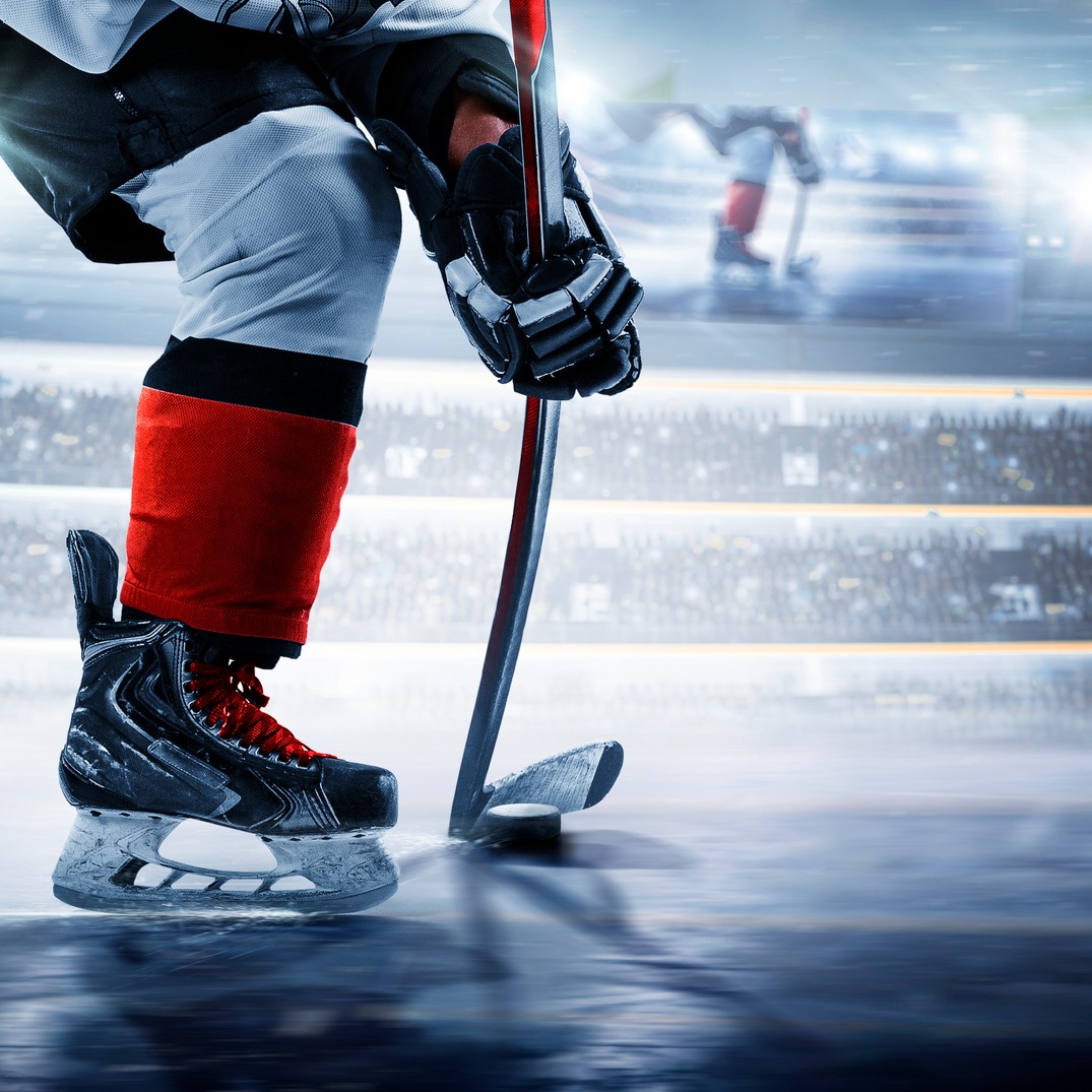 Local students help create protective gear for the Wild.