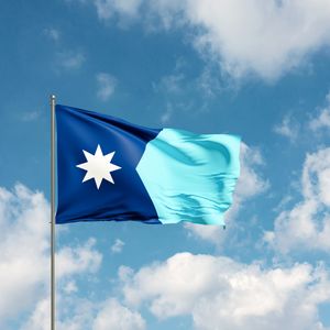 Should the states punish cities flying the old Minnesota flag?