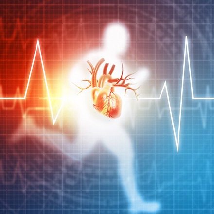 Brad Lane on surviving a heart attack & Ask Adam Anything