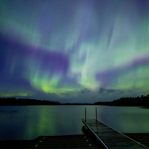 Full Show: Arne Carlson, Major Garrett, Sheletta Brundidge, Rochelle Olson, Am I Wrong? and more!