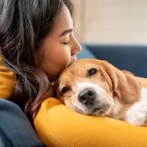 Adam Carter hates pets & a MN political roundup